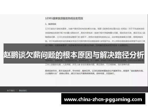 赵鹏谈欠薪问题的根本原因与解决路径分析